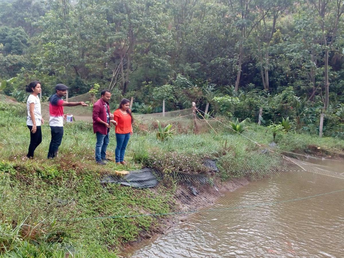 Friends Valley Home Stay Kattappana Exterior foto