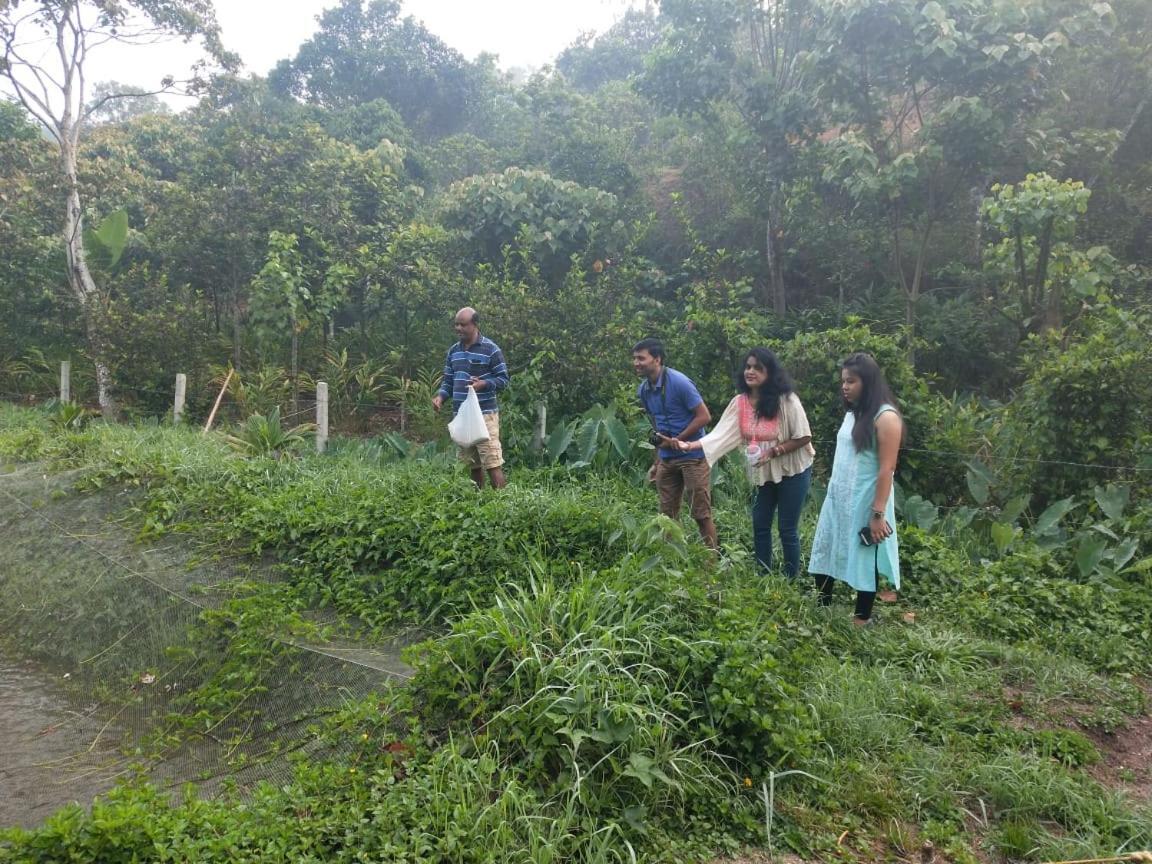 Friends Valley Home Stay Kattappana Exterior foto